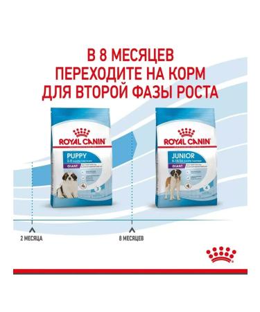 ROYAL CANIN Giant Puppy for puppies 2-8 months. giant breeds 3.5 kg - Buy Online on GoSupps.com