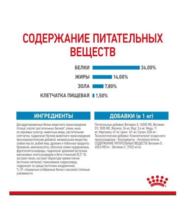 ROYAL CANIN Giant Puppy for puppies 2-8 months. giant breeds 3.5 kg - Buy Online on GoSupps.com