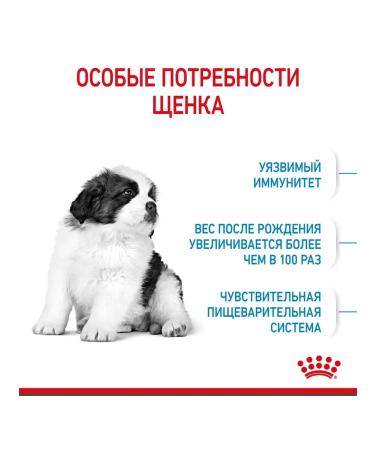 ROYAL CANIN Giant Puppy for puppies 2-8 months. giant breeds 3.5 kg - Buy Online on GoSupps.com