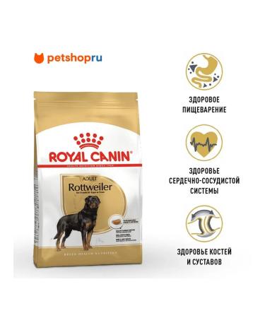 ROYAL CANIN Rottweiler Adult for dogs of the rottweiler breed from 18 months 12 kg