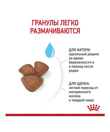 ROYAL CANIN Feed for small puppies up to 2 months Mini Starter 8.5 kg - Buy Online on GoSupps.com