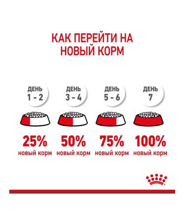 ROYAL CANIN Feed for small puppies up to 2 months Mini Starter 8.5 kg - Buy Online on GoSupps.com