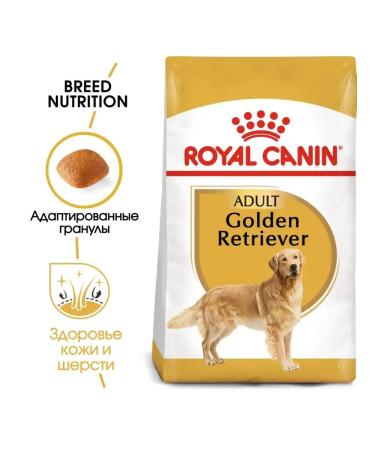 ROYAL CANIN Golden Retriever for dog dogs Retriever from 15 months 12kg - Buy Online on GoSupps.com