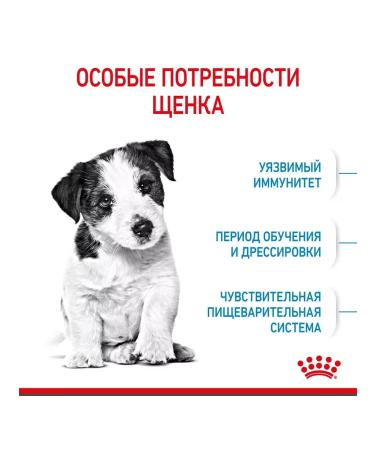 ROYAL CANIN Dry Mini Puppy food for small puppies 2-10 months 2 kg - Buy Online on GoSupps.com