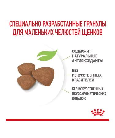 ROYAL CANIN Dry Mini Puppy food for small puppies 2-10 months 2 kg - Buy Online on GoSupps.com