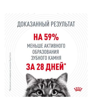 ROYAL CANIN Cat food from dental Care denture 1.5 kg - Buy Online on GoSupps.com