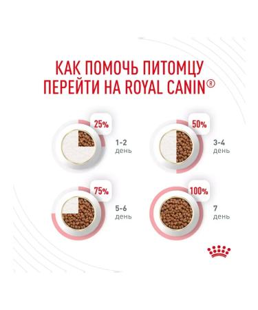 ROYAL CANIN Cat food from dental Care denture 1.5 kg - Buy Online on GoSupps.com