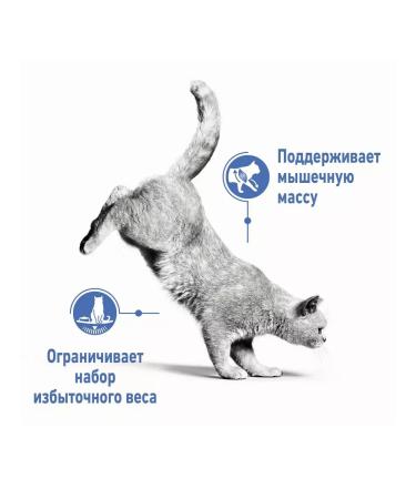 ROYAL CANIN Dry food for cats from 1 year Light Weight 8 kg - Buy Online on GoSupps.com