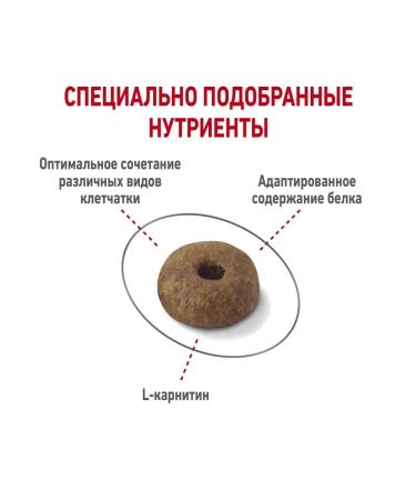 ROYAL CANIN Dry food for cats from 1 year Light Weight 0.4 kg - Buy Online on GoSupps.com