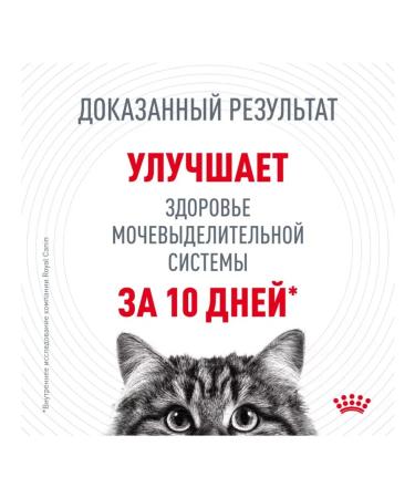 ROYAL CANIN Dry feed Urinary Care for cats ICB prevention 2 kg - Buy Online on GoSupps.com