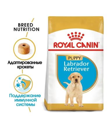 ROYAL CANIN Labrador Retriever food for puppies Labrador up to 15 months 3kg - Buy Online on GoSupps.com