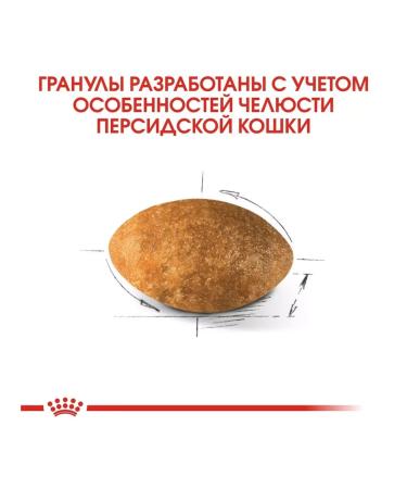 ROYAL CANIN Persian ADULT 10 kg cat food - Buy Online on GoSupps.com
