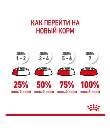 ROYAL CANIN British Shorthair Kitten food for British kittens 10 kg - Buy Online on GoSupps.com