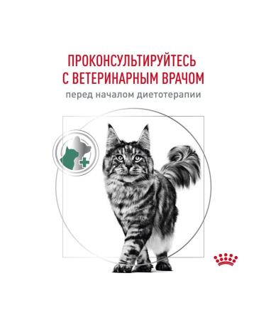 ROYAL CANIN Dry for cats weight loss Satiety Weight Management - Buy Online on GoSupps.com