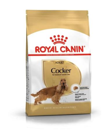 ROYAL CANIN Cocker Adult for dogs of the breed Coker-Spaniel from 1 year 3kg - Buy Online on GoSupps.com