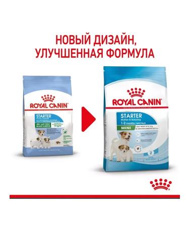 ROYAL CANIN Feed for small puppies up to 2 months Mini Starter 3 kg - Buy Online on GoSupps.com