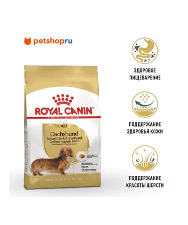 ROYAL CANIN Dachshund adult food for dogs dash of 10 months 1.5 kg