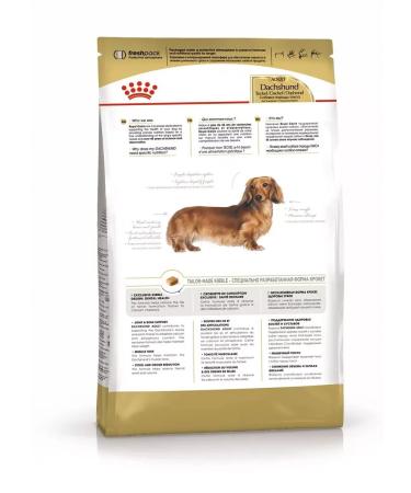 ROYAL CANIN Dachshund adult food for dogs dash of 10 months 1.5 kg - Buy Online on GoSupps.com