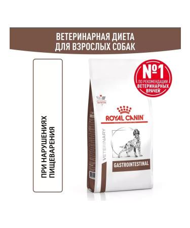ROYAL CANIN GastroinTestinal feed for dogs for gastrointestinal tract 2kg - Buy Online on GoSupps.com
