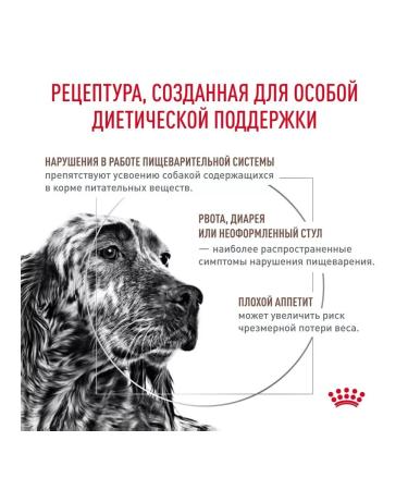 ROYAL CANIN GastroinTestinal feed for dogs for gastrointestinal tract 2kg - Buy Online on GoSupps.com