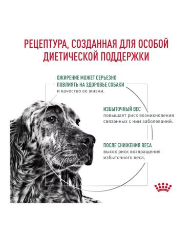 ROYAL CANIN Dry Satiety feed for dog control 12 kg - Buy Online on GoSupps.com