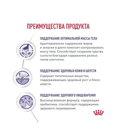 ROYAL CANIN Feed for castrated dogs of medium rocks Neutered 3.5kg - Buy Online on GoSupps.com