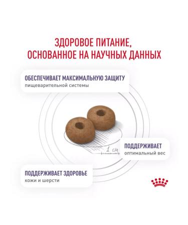 ROYAL CANIN Feed for castrated dogs of medium rocks Neutered 3.5kg - Buy Online on GoSupps.com