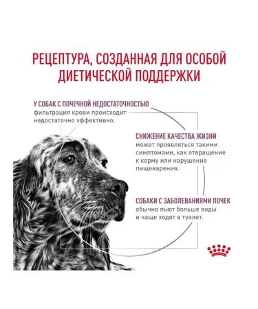 ROYAL CANIN For dogs with rendering renal disease 2 kg - Buy Online on GoSupps.com