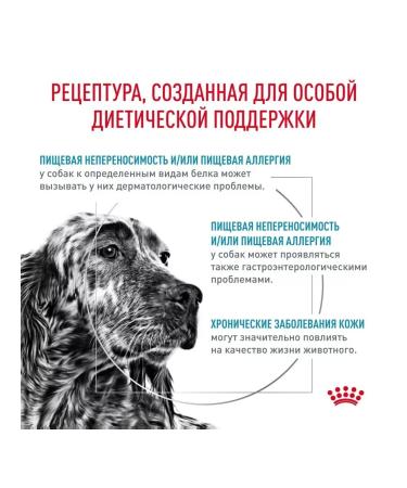 ROYAL CANIN Hypoallergenic food for dog allergies 2 kg - Buy Online on GoSupps.com