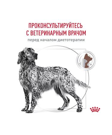 ROYAL CANIN Gastrointestinal Low Fat Dry Form for Dogs 1.5 kg - Buy Online on GoSupps.com