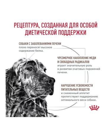 ROYAL CANIN Hepatic for liver diseases for adult dogs 6 kg - Buy Online on GoSupps.com