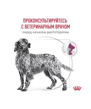 ROYAL CANIN For dogs with renal kidney disease 14 kg - Buy Online on GoSupps.com