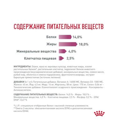 ROYAL CANIN For dogs with renal kidney disease 14 kg - Buy Online on GoSupps.com