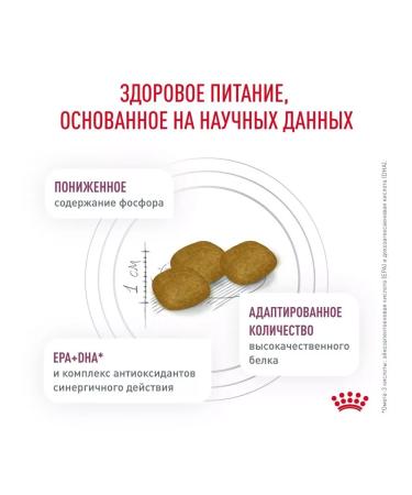 ROYAL CANIN For dogs with renal kidney disease 14 kg - Buy Online on GoSupps.com