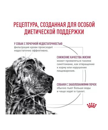 ROYAL CANIN For dogs with renal kidney disease 14 kg - Buy Online on GoSupps.com