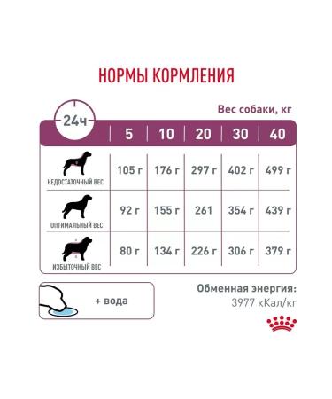 ROYAL CANIN For dogs with renal kidney disease 14 kg - Buy Online on GoSupps.com