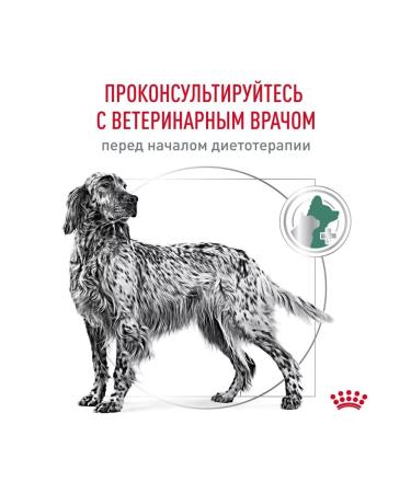 ROYAL CANIN Dry diabetic food for dogs with diabetes 12 kg - Buy Online on GoSupps.com