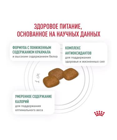 ROYAL CANIN Dry diabetic food for dogs with diabetes 12 kg - Buy Online on GoSupps.com