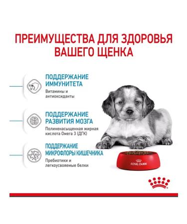 ROYAL CANIN Medium Puppy for Medium Puppies 2-12 months 14 kg - Buy Online on GoSupps.com