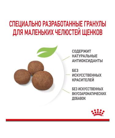 ROYAL CANIN Medium Puppy for Medium Puppies 2-12 months 14 kg - Buy Online on GoSupps.com