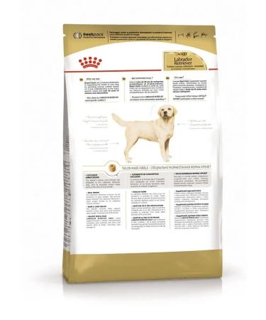 ROYAL CANIN Labrador Retriever feed for dogs of the Labrador breed 12kg - Buy Online on GoSupps.com