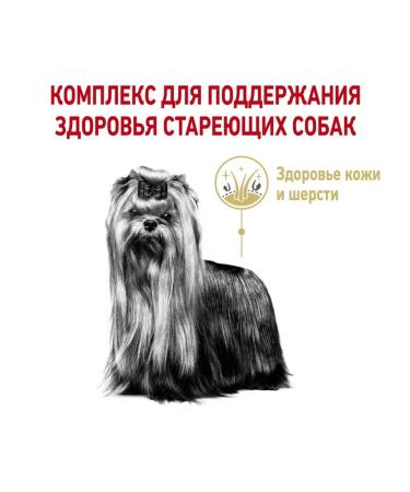 ROYAL CANIN Dry food for aging Yorks Yorkshire Terrier 8+ 1.5kg - Buy Online on GoSupps.com