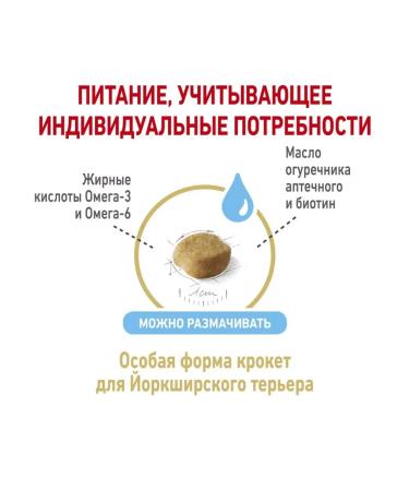 ROYAL CANIN Dry food for aging Yorks Yorkshire Terrier 8+ 1.5kg - Buy Online on GoSupps.com