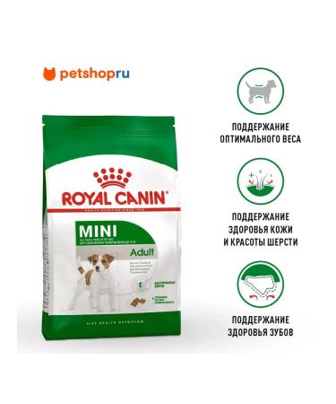 ROYAL CANIN Dry Mini Adult food for small dogs from 10 months 2 kg