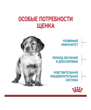 ROYAL CANIN Dry food Medium Puppy for medium breeds 3kg - Buy Online on GoSupps.com