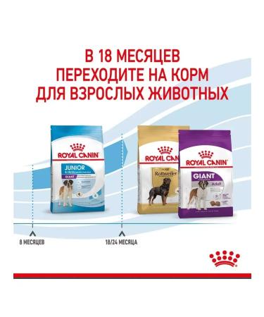 ROYAL CANIN Giant Junior for puppies from 8 months. giant breeds 3.5 kg - Buy Online on GoSupps.com