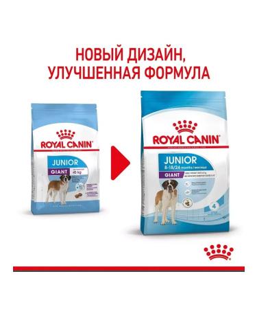 ROYAL CANIN Giant Junior for puppies from 8 months. giant breeds 3.5 kg - Buy Online on GoSupps.com