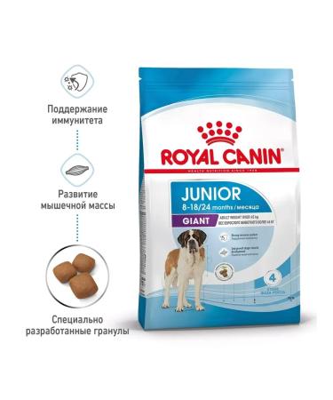 ROYAL CANIN Giant Junior for puppies from 8 months. giant breeds 3.5 kg - Buy Online on GoSupps.com
