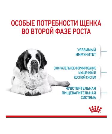 ROYAL CANIN Giant Junior for puppies from 8 months. giant breeds 3.5 kg - Buy Online on GoSupps.com