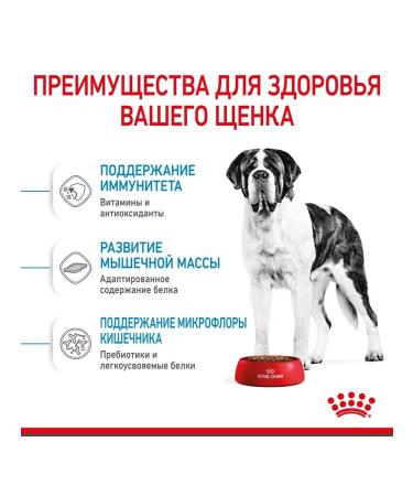 ROYAL CANIN Giant Junior for puppies from 8 months. giant breeds 3.5 kg - Buy Online on GoSupps.com